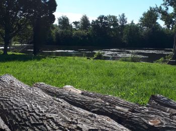 Tocht Stappen Long - Une randonnée rythmée par les étangs. - Photo