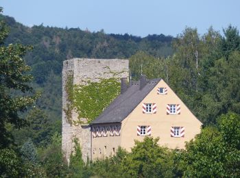 Excursión A pie Egloffstein - Rundweg Egloffstein Grünring - Photo