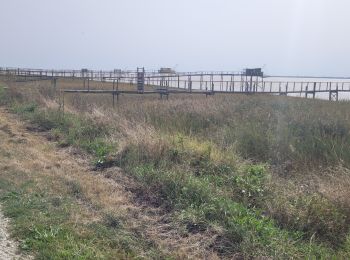 Tocht Fietstoerisme Royan - Royan - Braud et Soleil  - Photo