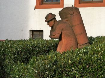 Tocht Te voet Weingarten - Über sanfte Hügel zur Schönen Aussicht - Photo