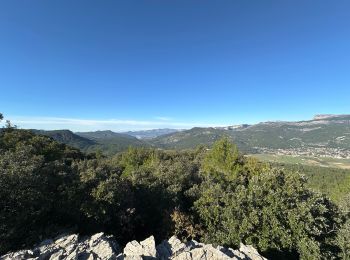 Tocht Stappen Le Castellet - La begude - Photo