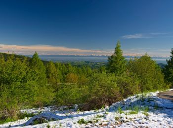 Tour Zu Fuß Menconico - Sentiero A1 di Monte Alpe - Photo