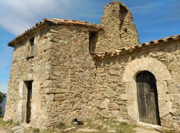 Excursión A pie Porqueres - Ruta de l’Estany a Sant Patllari - Photo