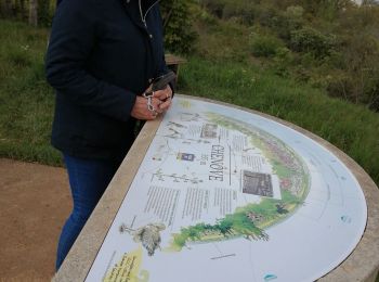 Tour Wandern Marsannay-la-Côte - ferme de l'école par la déchets  - Photo