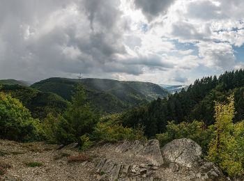 Tour Zu Fuß Lorch - Wispertalsteig - Photo