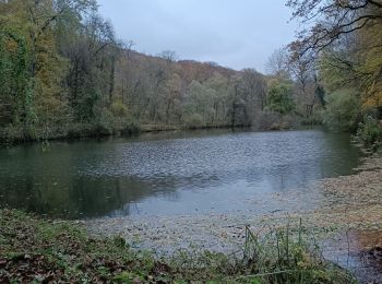 Tocht Stappen Bouxières-aux-Dames - Bouxiére aux Dames Any et Edith 10kms - Photo