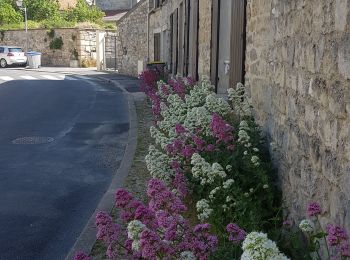 Trail Walking Auvers-sur-Oise - Auvers  Herouville - Photo