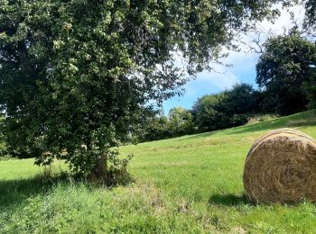 Trail Walking Bilieu - croix des cochettes-Charavines - Photo