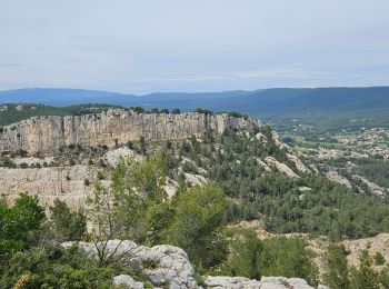 Tocht Stappen Ollioules - Gros Cerveau - Ollioules - Photo