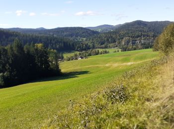 Tour Wandern Entre-deux-Monts - entre-deux monts bis - Photo