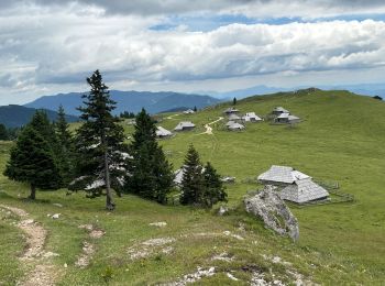 Trail Walking Kamnik - Velika Planina - Photo