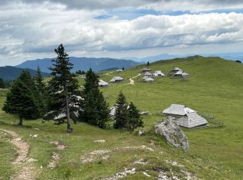 Excursión Senderismo Kamnik - Velika Planina - Photo