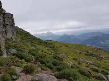 Excursión Senderismo Saint-Projet-de-Salers - Col de Legal vers le Puy de Chavaroche - Photo