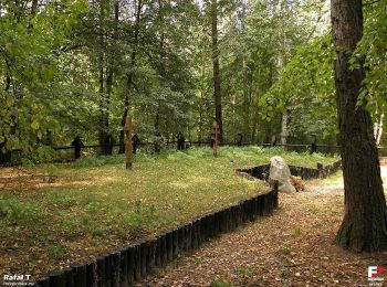 Excursión A pie Januszno - Dąbrowa nad Zagożdżonką - Photo