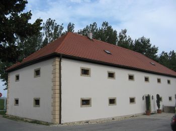 Excursión A pie Gemeinde Vösendorf - Raiffeisen Runde - Photo