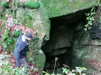 Percorso Marcia Bogny-sur-Meuse - 22 02 2022 phili eric - Photo