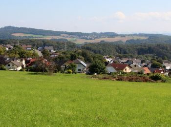 Randonnée A pied Hübingen - Buchfinkenland kleiner Rundwanderweg B3 - Photo