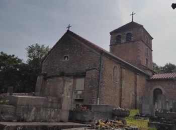 Randonnée Marche Ozenay - Ozenay  - Photo