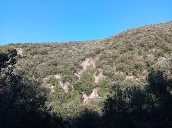 Tocht Stappen Ansignan - sentier des dolmens en fenouillèdes - Photo