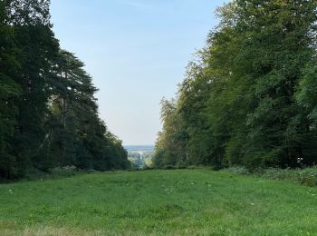 Tocht Stappen Vivières - en Forêt de Retz_88_autour du Regard Saint-Hubert et du Rond de la Reine - Photo