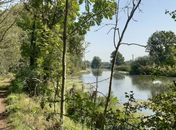 Trail Walking Vred - Les tourbières de Vred et les marais de la Scarpe - Photo