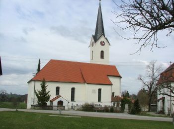 Trail On foot Sulzberg - Heinrichweg 2 - Photo