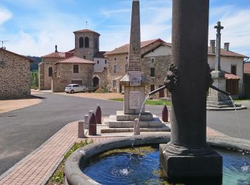 Excursión Senderismo Chambon-sur-Dolore - Chambon sur Dolore  - Photo