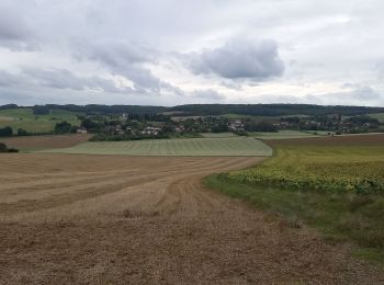 Tocht Stappen Eaux-Puiseaux - Eaux 12,5km GRBA le 11.09.2024 - Photo