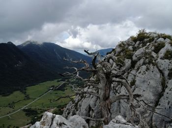 Randonnée Marche Séranon - Crêtes bauroux - Photo