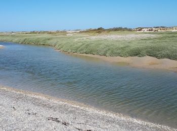 Trail Walking Cayeux-sur-Mer - le long de la baie  - Photo