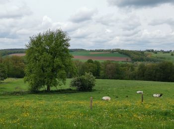 Randonnée V.T.T. Yvoir - DORINNE ... la vallée du Bocq. - Photo