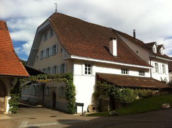 Percorso A piedi Gelterkinden - Gelterkinden - Rünenberg - Photo