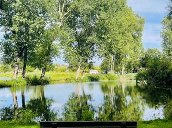 Tour Wandern Landen - La vallée du ruisseau Mombeek : la réserve naturelle De Beemden à Attenhoven - Photo