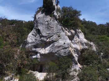 Tocht Stappen Vallon-Pont-d'Arc - Vallon pont d'arc au bivouac du gournier - Photo