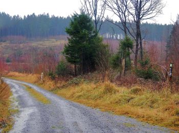 Tour Zu Fuß Neuenrade - Amecker Rundwanderweg - Photo