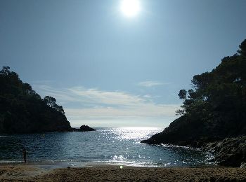 Tocht Stappen Tossa de Mar - Wikiloc - Cala Pola + Es Escobar - Photo