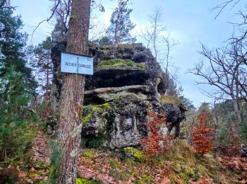 Tour Wandern Fontainebleau - Boucle 30 km Thomery - Photo