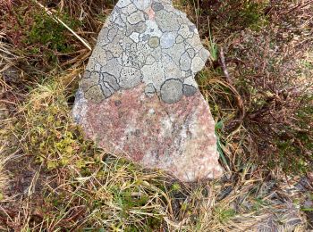 Trail Walking Conamara Municipal District - Début rando des Twelve Bens - Photo