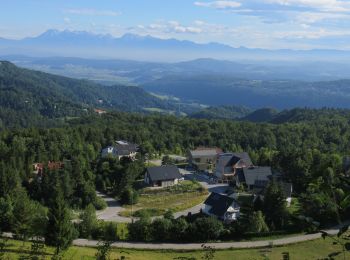 Excursión A pie Škofljica - Želimlje - Kurešček - Photo