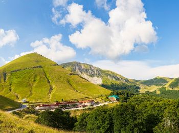 Tour Zu Fuß Micigliano - (SI O15) Rifugio Angelo Sebastiani - Leonessa - Photo