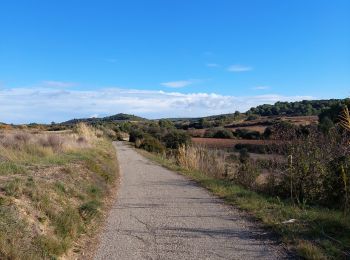 Tour Wandern Aumelas - cabrials - Photo