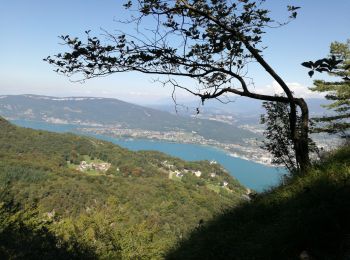 Tocht Stappen La Chapelle-du-Mont-du-Chat - DENT DU CHAT & MOLARD NOIR - Photo