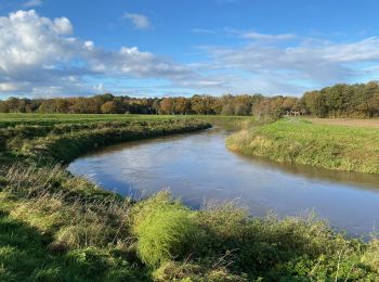 Randonnée Marche Haecht - S-GR Dijleland: Haacht - Muizen - Photo