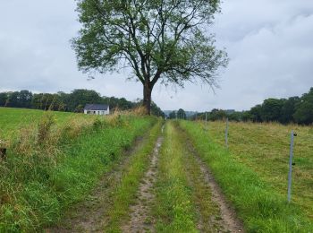 Tour Wandern Marchin - Vyle et Tharoul 030724 - Photo