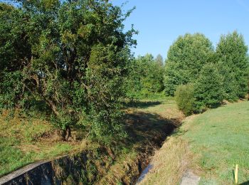 Tour Zu Fuß Stainz - Georgsberg Rundweg - Photo