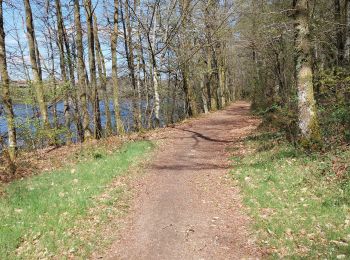 Excursión Senderismo Razès - Saint-Pardoux - Tour du Lac - 7,5 km - Photo