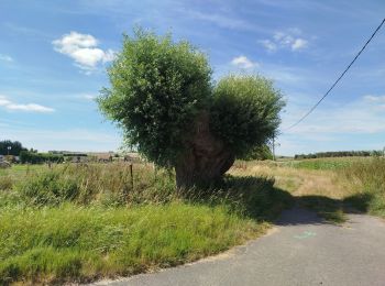 Excursión Senderismo Banteux - canal de saint Quentin / Banteux - Vendhuile ( tunnel de Riqueval ). - Photo