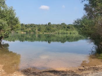 Excursión Senderismo Les Salles-sur-Verdon - 28-06-2023 Les Salles - Le Grand Défens - Bauduen  - Photo