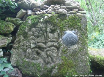 Tour Wandern Golinhac - CC_Velay_BE_09_Golinhac_Conques-Rouergue_20070824 - Photo