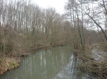 Excursión Senderismo Moret-Loing-et-Orvanne - Moret sur Loing - Photo